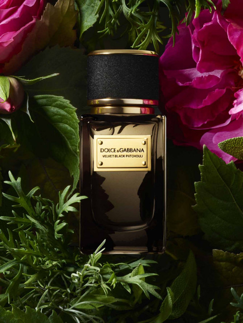 Парфюмерная вода Velvet Collection Black Patchouli, 50 мл Dolce & Gabbana - Обтравка1